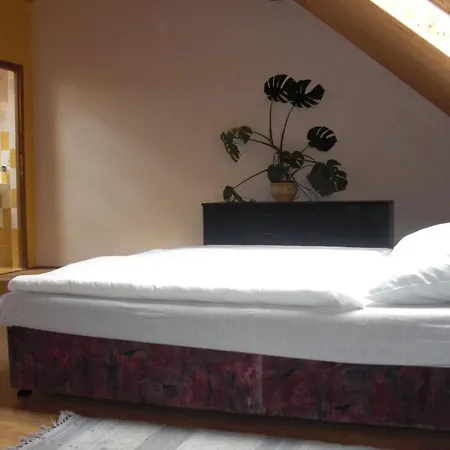 Pension Lazany Guest house Lazany (Strakonice)
